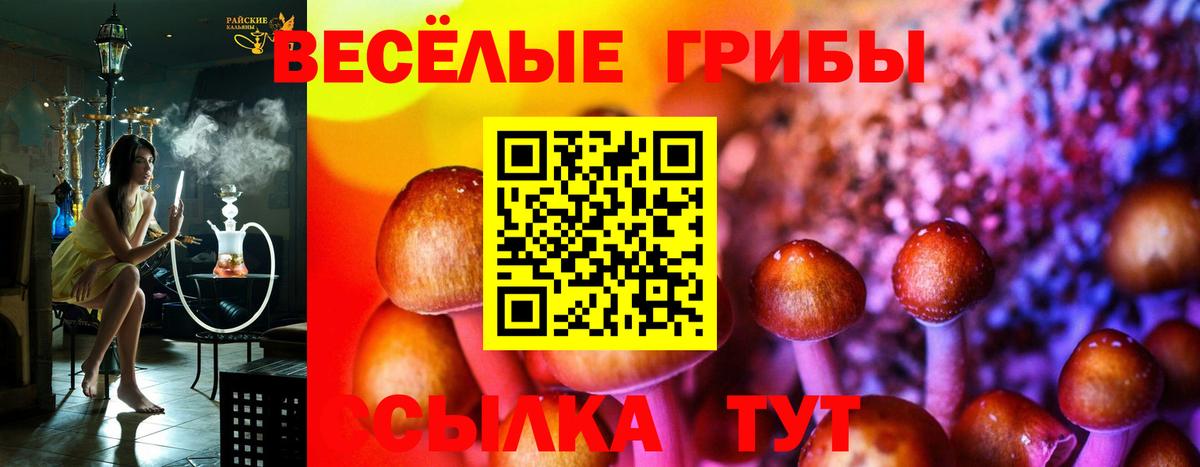 Озёры  цены   Вход с VPN  Галлюциногенные грибы Psilocybine cubensis 